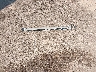 2C4RC1BG6HR****** Wrecked 2017 Chrysler Pacifica in Mississippi State