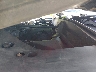 1GKKVRKD8FJ****** Repairable 2015 GMC Acadia in Taunton
