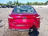 1FADP3F24DL****** Wrecked 2013 Ford Focus