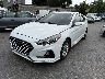 5NPE24AFXKH****** Used and Repairable 2019 Hyundai Sonata in Newburgh