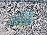 JHMCG6696YC****** Wrecked 2000 Honda Accord in Virginia State