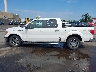 1FTFW1ET9BF****** Reparables 2011 Ford F-150 en Estado de Nueva Jersey