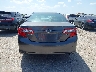 4T4BF1FKXDR****** Destrozados 2013 Toyota Camry