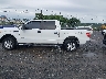 1FTFW1ET0DK****** Repairable 2013 Ford F-150 in North Carolina State