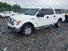 1FTFW1ET0DK****** Used and Repairable 2013 Ford F-150 in Asheville