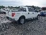 1FTFW1ET0DK****** Salvage and Wrecked 2013 Ford F-150 in North Carolina State
