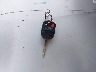 1FAHP3F23CL****** Salvamento 2012 Ford Focus en Estado de Washington