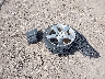 JM1FE173580****** Wrecked 2008 Mazda RX-8 in Texas State