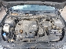 5NPEC4AC4DH****** Repairable 2013 Hyundai Sonata in Grenada