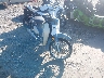 MLHJA5858P5****** Salvage and Wrecked 2023 Honda Super Cub C125 in Rec Rides Online Exclusive