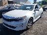 5XXGT4L3XGG****** Usados y Reparables 2016 Kia Optima en Ace Perris