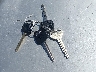 JT3GN87RXV0****** Salvage 1997 Toyota 4Runner in California State