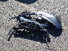 2HKRW6H37KH****** Wrecked 2019 Honda CR-V in Utah State