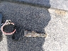 1HGEJ8242WL****** Salvage 1998 Honda Civic in Idaho State