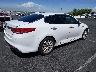 5XXGU4L36GG****** Salvage and Wrecked 2016 Kia Optima in Nevada State