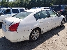 1N4BA41E85C****** Salvamento y Destrozados 2005 Nissan Maxima en Estado de Massachusetts