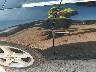 1FADP3J20DL****** Salvamento 2013 Ford Focus