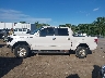 1FTFW1ET4DF****** Salvamento 2013 Ford F-150