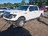 1FTFW1ET4DF****** Usados y Reparables 2013 Ford F-150 en Templeton