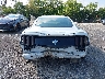 1FA6P8AM1F5****** Usados 2015 Ford Mustang