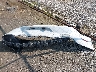 1FA6P8AM1F5****** Destrozados 2015 Ford Mustang en Estado de Ohio