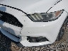 1FA6P8AM1F5****** Usados y Reparables 2015 Ford Mustang en Dayton