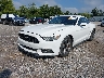 1FA6P8AM1F5****** Usados y Reparables 2015 Ford Mustang en Dayton