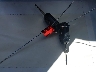 1FADP3K25HL****** Salvamento 2017 Ford Focus en Estado de California