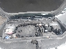 5NTJCDAE7PH****** Repairable 2023 Hyundai Santa Cruz in Jacksonville