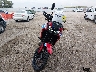 JH2SD1510RK****** Usados y Reparables 2024 Honda Africa Twin en Estado de Nebraska