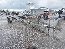 1A9BB24286F****** Salvamento y Destrozados 2006 American Trailers Inc Other en Miami North
