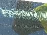 3GSCL33P28S****** Wrecked 2008 Saturn VUE in Georgia State