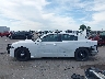 2C3CDXKG8MH****** Salvage 2021 Dodge Charger