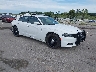2C3CDXKG8MH****** Salvage and Wrecked 2021 Dodge Charger in Des Moines