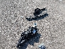 3CZRU6H51LM****** Wrecked 2020 Honda HR-V in Missouri State
