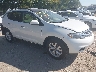 JN8AZ1MW5EW****** Salvamento y Destrozados 2014 Nissan Murano en Indianapolis