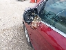 2FMTK4J9XFB****** Used and Repairable 2015 Ford Edge in Omaha