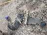 1N4AL3AP3FC****** Salvage 2015 Nissan Altima in Florida State