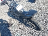 ML5EXEN1XND****** Salvage and Repairable 2022 Kawasaki Ex650 in Cleveland