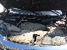 5FNYF6H57KB****** Reparables 2019 Honda Pilot en Columbus
