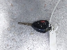JTDBL40E99J****** Salvage 2009 Toyota Corolla in New Hampshire State