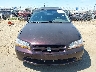 1HGCG565XXA****** Salvamento y Reparables 1999 Honda Accord en Estado de California