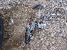 1N4BL4CV4KC****** Wrecked 2019 Nissan Altima in Arkansas State