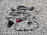 JTMRWRFV0SD****** Wrecked 2025 Toyota RAV4 Hybrid in Washington State