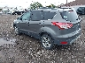 1FMCU9GX8DU****** Salvamento y Reparables 2013 Ford Escape en Buffalo