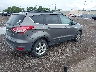 1FMCU9GX8DU****** Salvamento y Destrozados 2013 Ford Escape en Estado de Nueva York