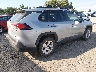 2T3P1RFV4MW****** Salvage and Wrecked 2021 Toyota RAV4 in Montana State