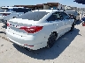 5NPE24AF0HH****** Salvage and Wrecked 2017 Hyundai Sonata in Texas State