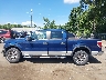 1FTEW1C86AF****** Salvage 2010 Ford F-150