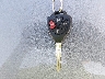4T4BF3EK9BR****** Salvamento 2011 Toyota Camry en Estado de Indiana